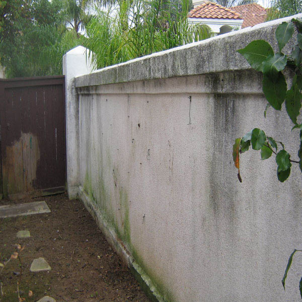 Pressure Washing Fence