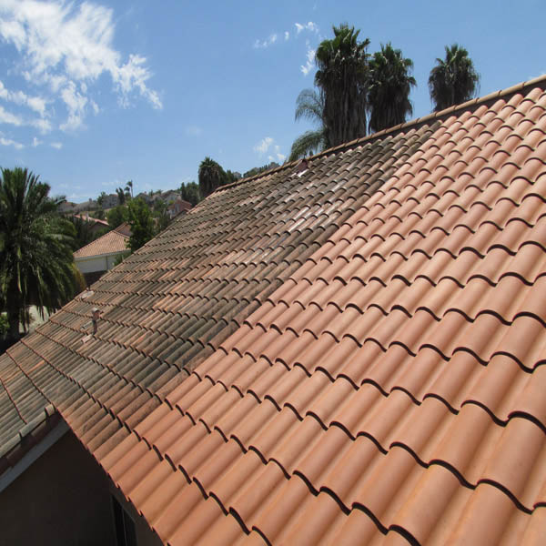 Roof Cleaning